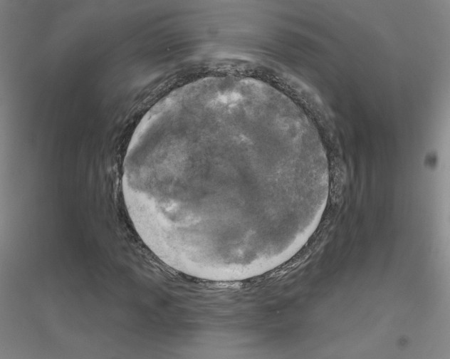 X0000116791013201001291514