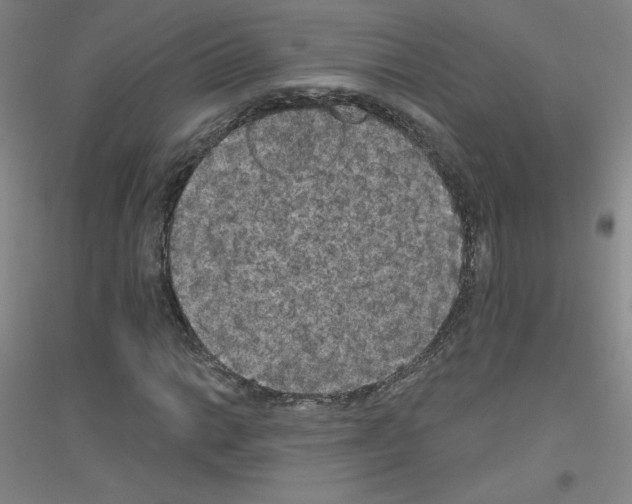 X0000116791014201001291514