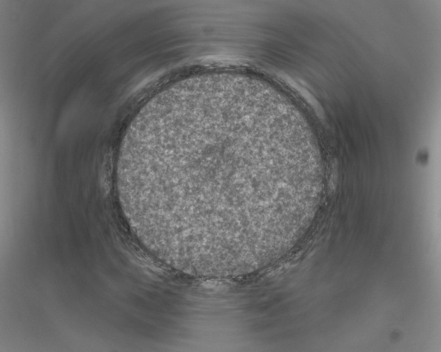 X0000116791015201001291514