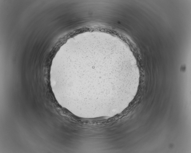 X0000116791016201001291514