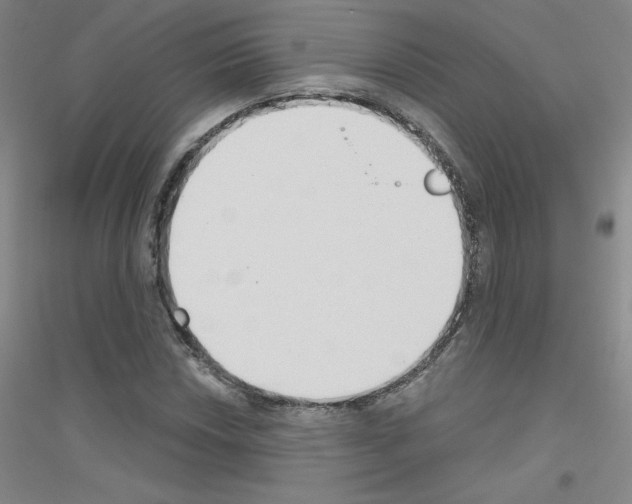 X0000116791018201001291514