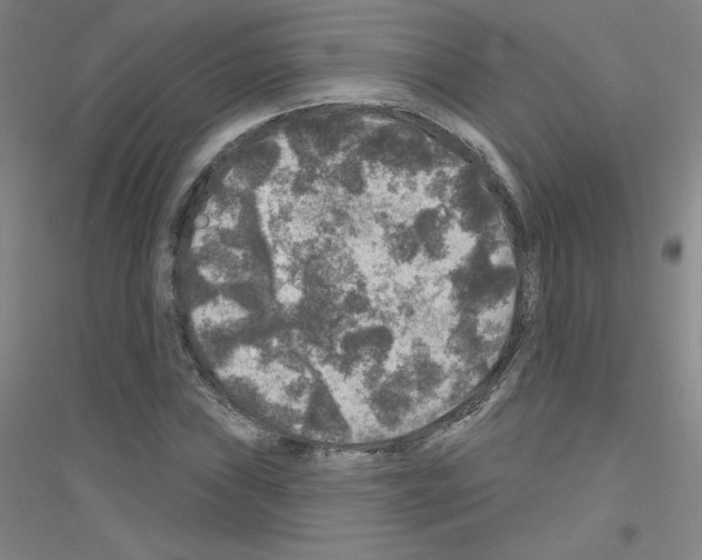 X0000116791019201001291514