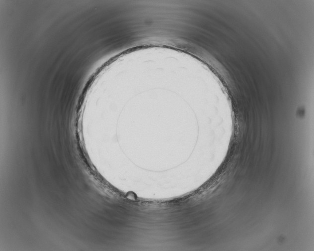 X0000116791020201001291514