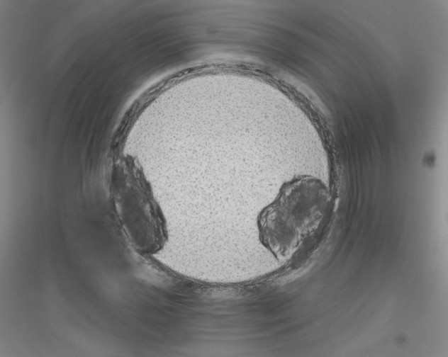 X0000116791021201001291514