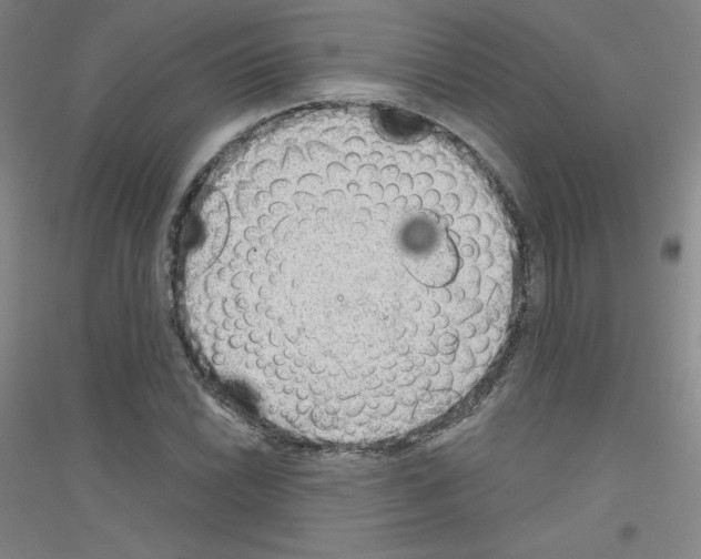X0000116791022201001291514