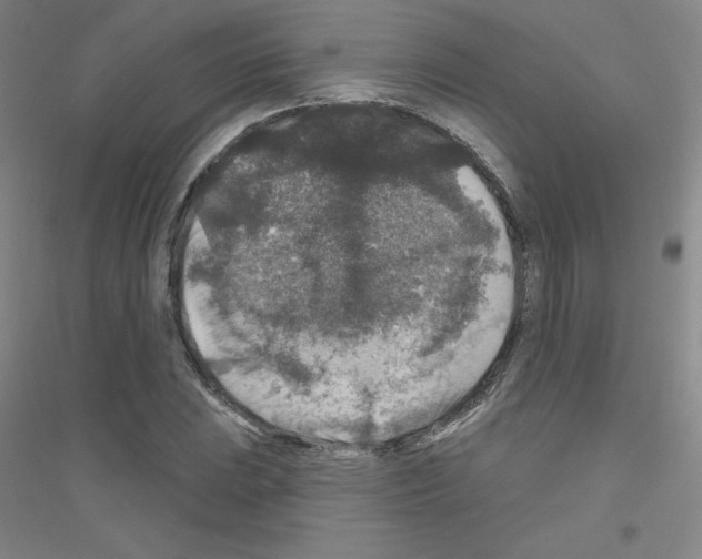 X0000116791023201001291514