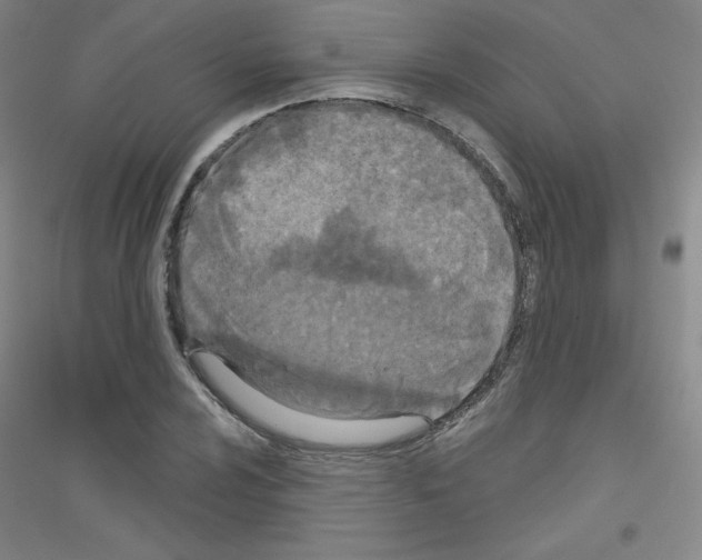 X0000116791024201001291514