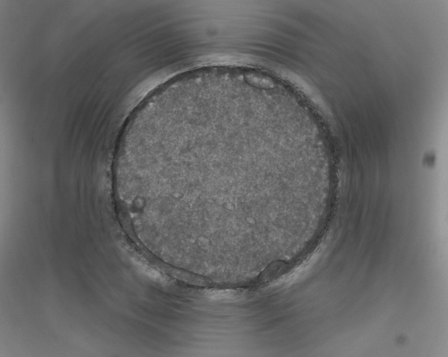 X0000116791025201001291514