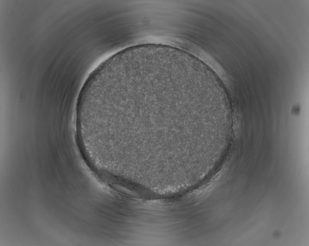 X0000116791028201001291514