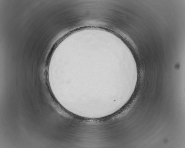 X0000116791029201001291514