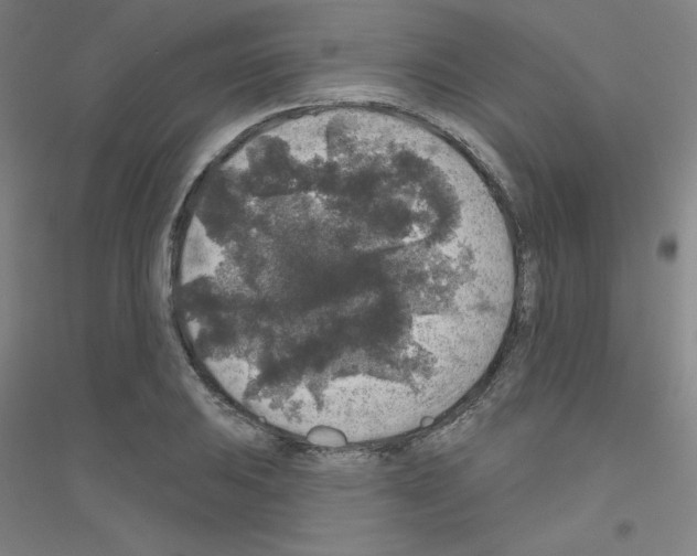 X0000116791031201001291514