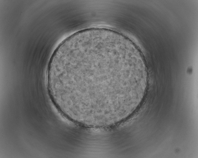 X0000116791032201001291514