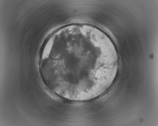 X0000116791035201001291514