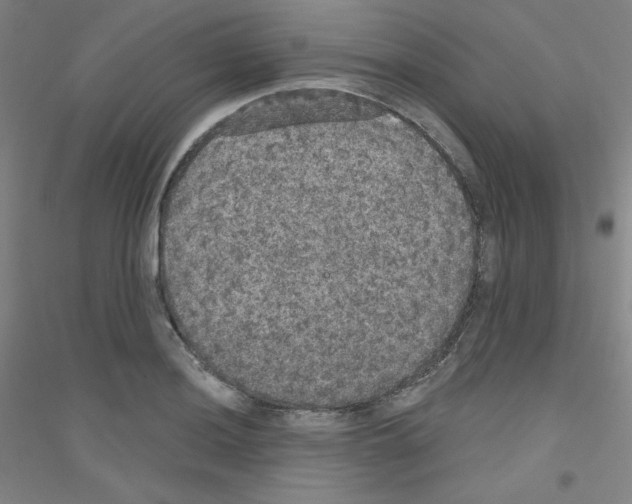 X0000116791036201001291514