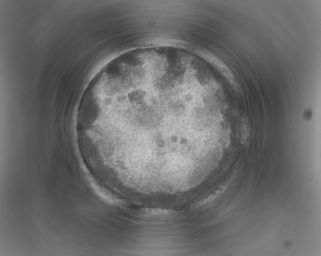 X0000116791039201001291514