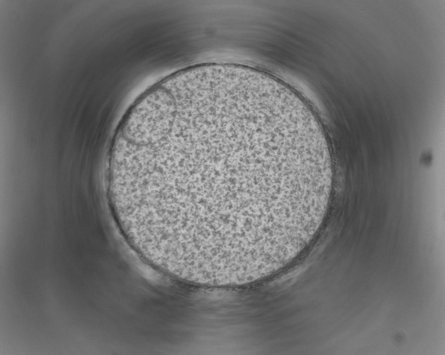 X0000116791040201001291514