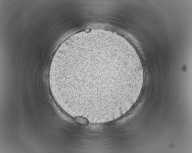 X0000116791041201001291514