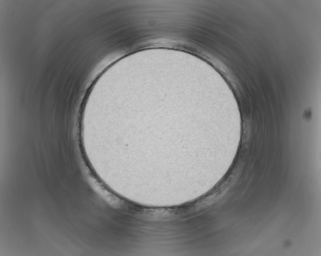 X0000116791042201001291514