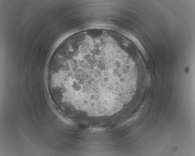 X0000116791043201001291514