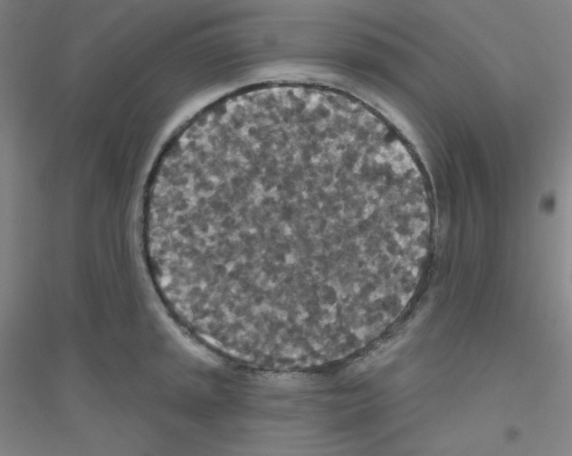 X0000116791045201001291514