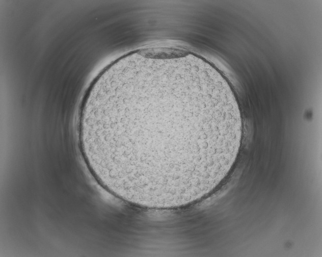 X0000116791046201001291514