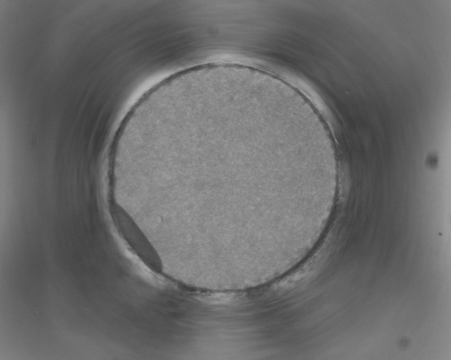 X0000116791048201001291514