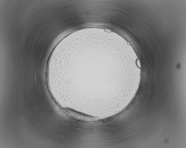 X0000116791050201001291515
