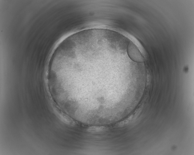 X0000116791051201001291515
