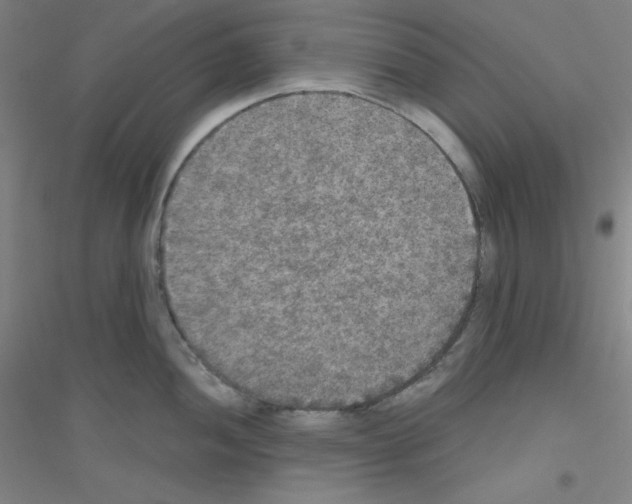 X0000116791052201001291515