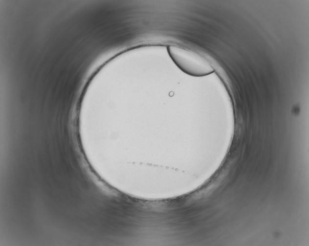 X0000116791053201001291515