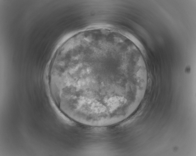 X0000116791055201001291515