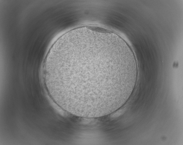 X0000116791056201001291515