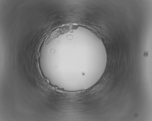 X0000116791057201001291514