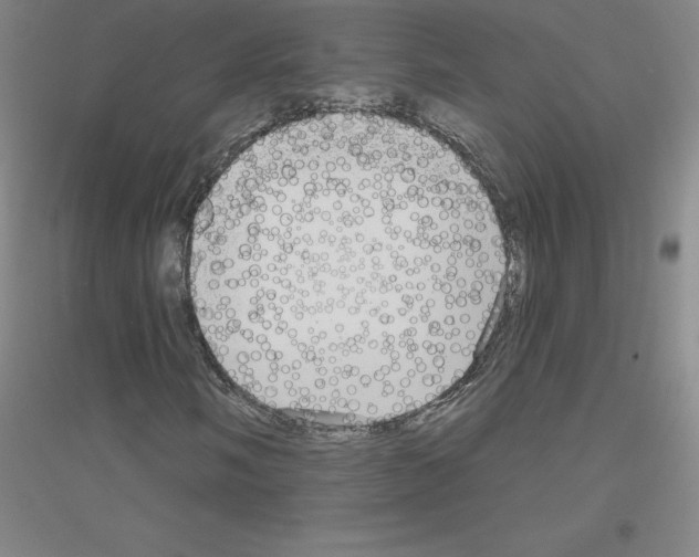 X0000116791058201001291514