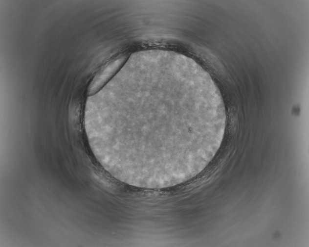 X0000116791060201001291514
