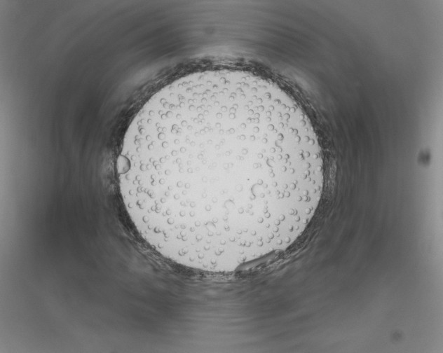 X0000116791062201001291514