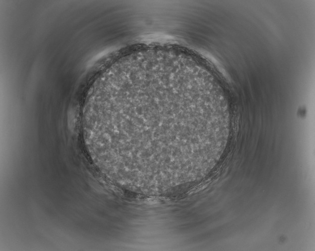 X0000116791063201001291514