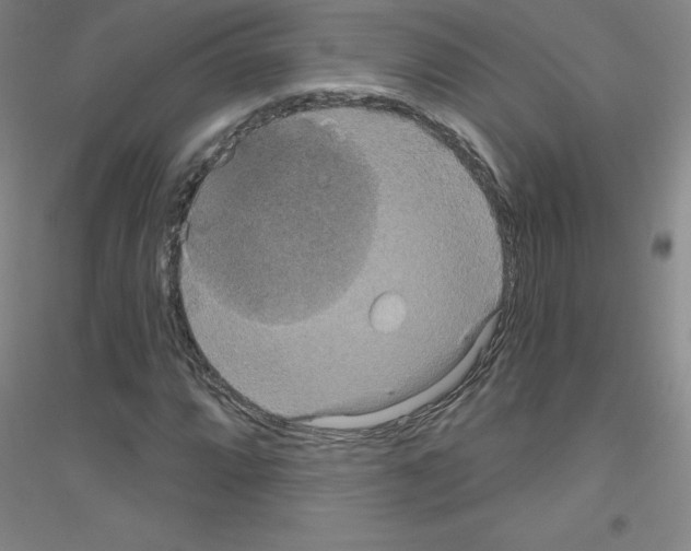 X0000116791064201001291514