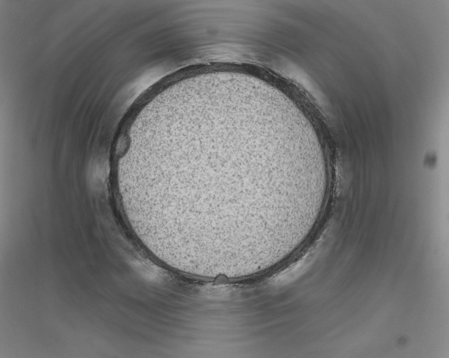 X0000116791065201001291514
