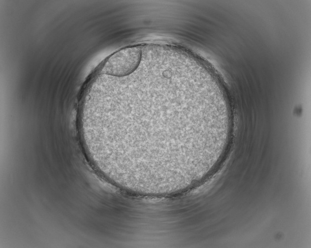 X0000116791066201001291514