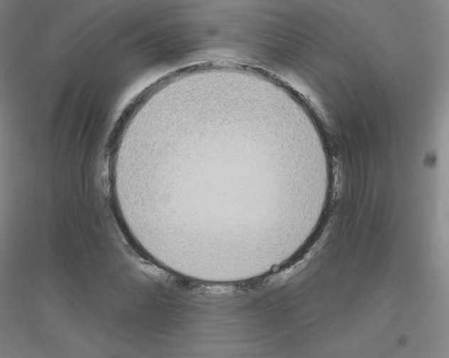 X0000116791070201001291514