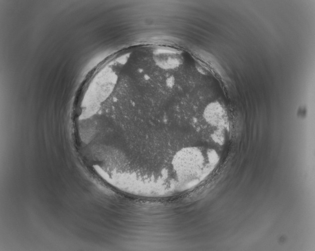 X0000116791071201001291514