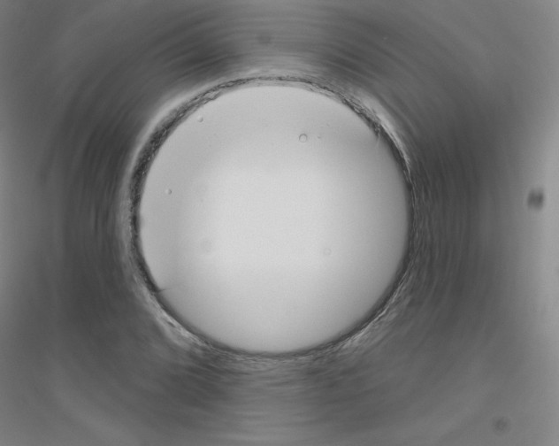 X0000116791072201001291514