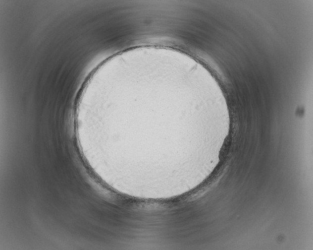X0000116791079201001291514