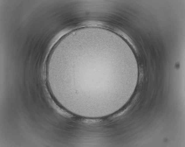 X0000116791082201001291514