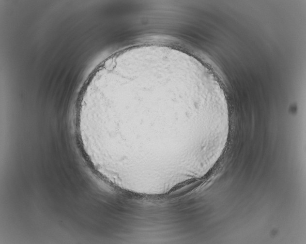X0000116791083201001291514