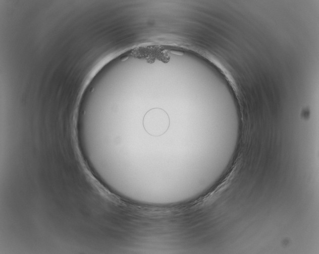 X0000116791085201001291514
