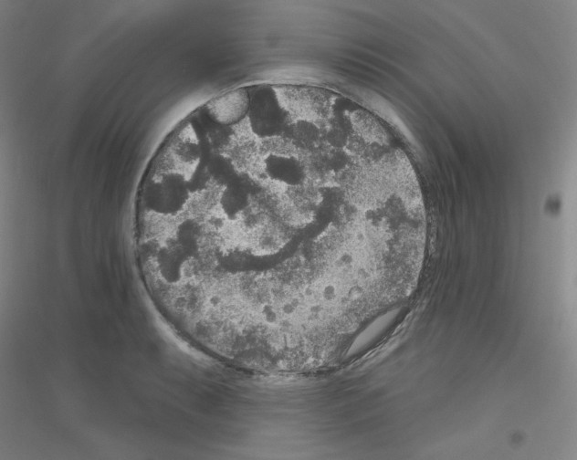 X0000116791087201001291514