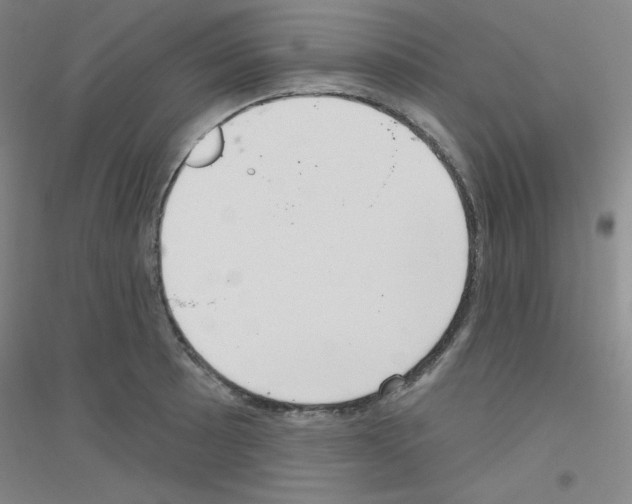 X0000116791089201001291513
