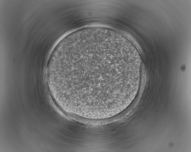 X0000116791092201001291513